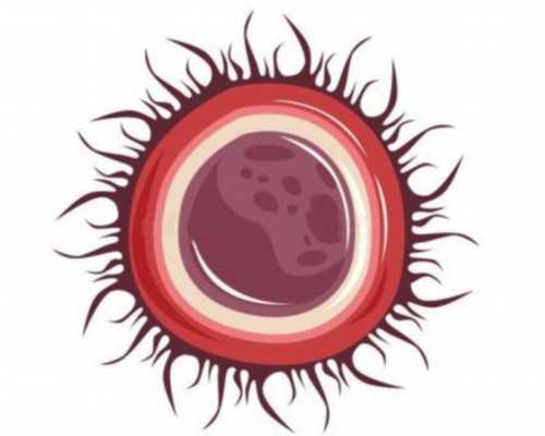 香港验血检测男女性别费用多少钱_去香港验血查到13个带y的染色体准不准_需要