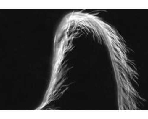 香港做男女验血多少钱_香港验血二胎女孩_查男女检测机构哪家正规