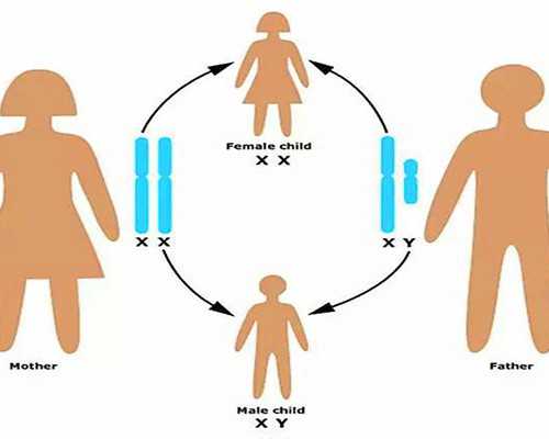 怀孕一个月香港验血会准吗_香港验血胚胎多少钱_怀孕在香港哪里验血好!