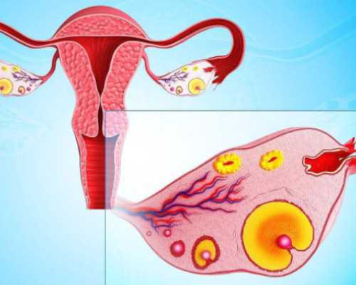 香港验血 女生男_香港验血几天报告单_验血和B超都是男孩,还会翻盘吗