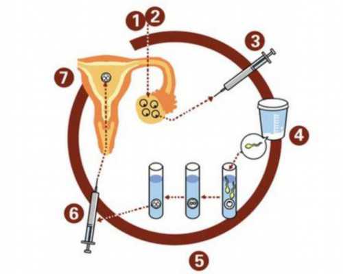 贵州最大古玩拍卖公司_真紫檀也会掉色吗