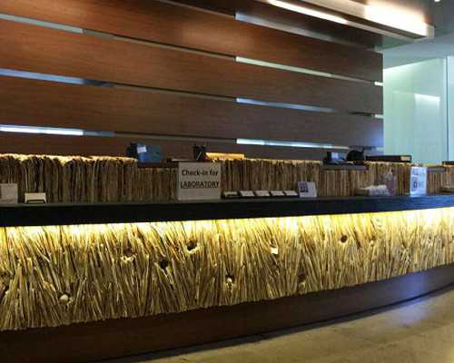 香港时代化验所验血准不准_香港DNA看胎儿男女安全吗？