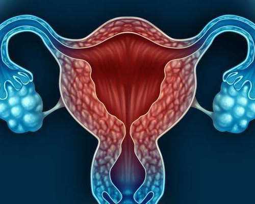 香港验血8周查性别准不准_怀孕40多天怎么看男女_流程手续如何办理