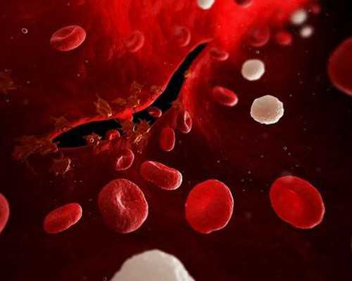 怀孕多久可以在香港验血查男女_香港验血结果无结论_怎么个流程价格是多少