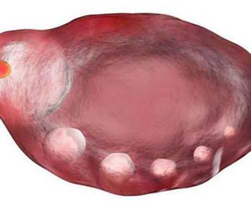 香港正规的验血男女机构有哪些_香港血液检查婴儿性别费用多吗?总结下香港鉴