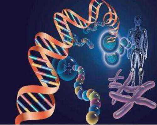 香港验血怎么寄血样_你们觉得赛尔号7中巨石灵王打斯塔奥时斯塔奥从头到尾都