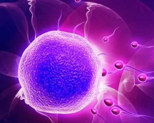 怎么去柬埔寨做试管婴儿比较可靠