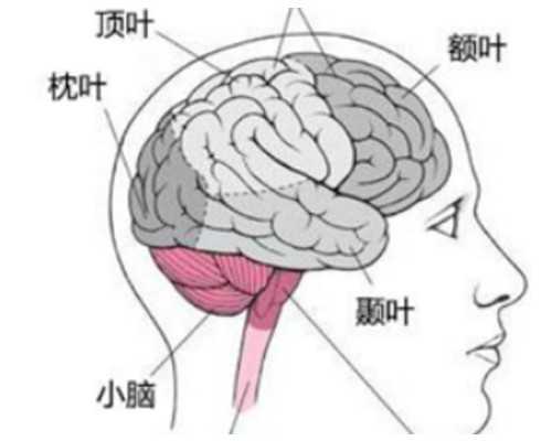 一般到香港验血多少钱_香港验血试管怎么处理_验血查男女准确率高吗