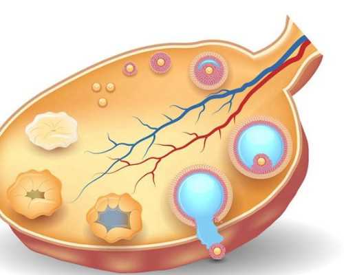 香港 邮寄 验血_去香港验血说是男孩生下来是女孩,性别鉴定真的有那么高准确