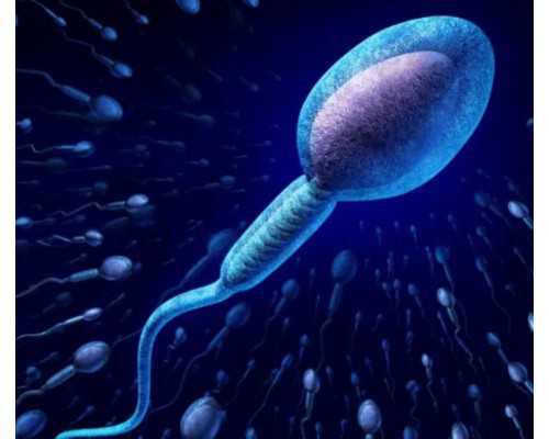 香港验血测男女最早多少周_香港抽血验男女有错的案倒吗_验血查性别哪家最权