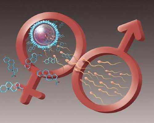 怀双胞胎香港验血能知道性别吗_香港胎儿性别鉴定要超过几个月?想知道的凑过