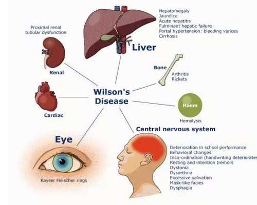 验血查男女香港哪家医院做_香港为何允许性别鉴定,验血查性别有什么需要注意