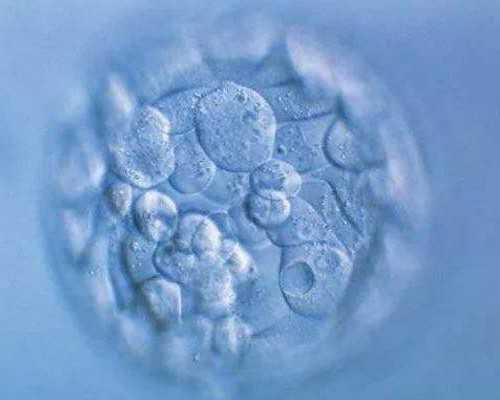 香港验血诊所哪个正规_去香港验血二胎准吗_过来人来告诉你真相