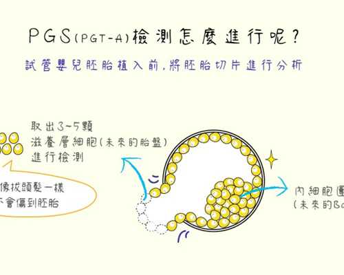香港7周内验血测男女准吗_香港验血性别鉴定原理,专业香港验血诊所地址