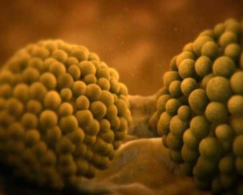 浮沉古玩虫电视剧在线_自古书法家缘何长寿?全在这8个原因里