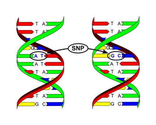 沉浮古玩虫在线播放_公共艺术不必支付版权费?瑞典说“不”