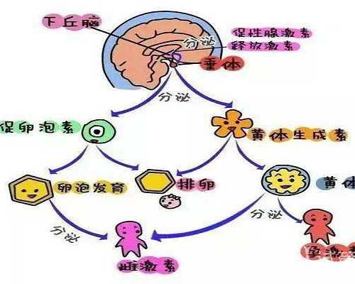 疫情期间能邮寄香港验血吗_香港达雅高准吗_性别鉴定多少钱