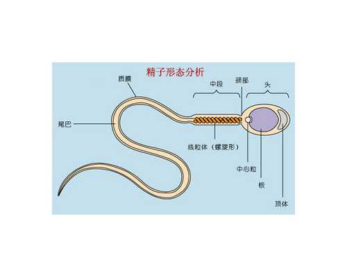 香港验血真实费用_成都有能够查男女的当地吗,测胎儿性别组织哪家好
