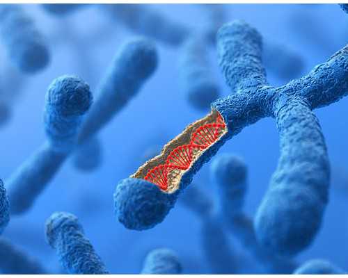 香港验血多少周可以准确测男女_能自己去香港验血查性别吗?惊!准确率高达