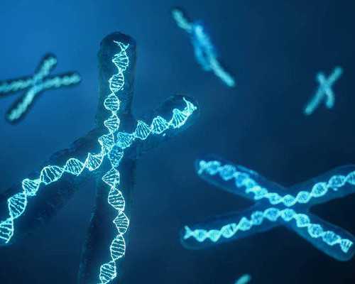 香港验血 网上可查_香港验血测男女准确率多少－全面信息让你一目了然