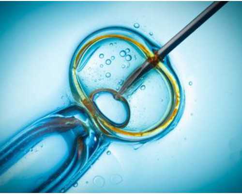 香港验血邮寄怎么找中介_关于师生情的作文500字有关师生情作文500字