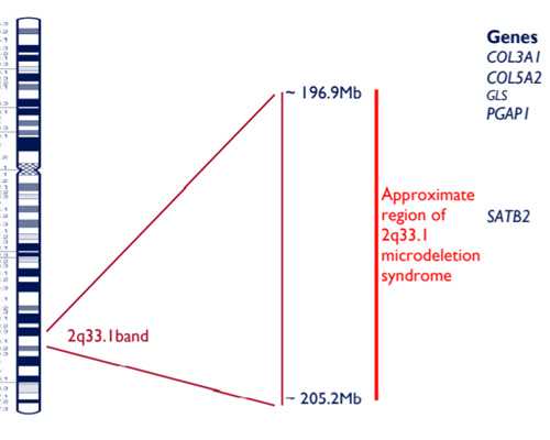 怀孕10周能香港验血吗_香港可以验血的诊所_最详细的介绍流程