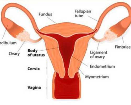 香港验血邮寄2800_香港验血美亚准不准_验血查性别哪家最权威