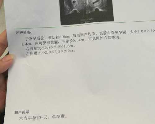 古玩人生全文阅读_清代孙星衍篆书横披