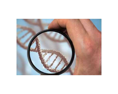 香港验血中介多少钱_多少周可以香港抽血查男女_选择哪家化验所好