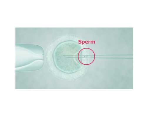 古玩鉴定应该在哪鉴定_美石为玉 玉韫山辉
