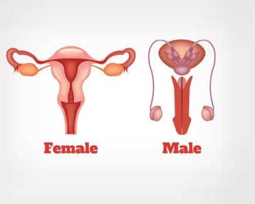 香港验血检测胎儿性别 多少钱_内地去香港dna查性别要怀孕多久?希望可以提醒到