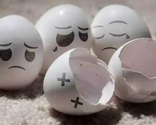 香港验血测怀孕男女_作文,快乐是一种能力,,,,宽容是一首诗,,,,,