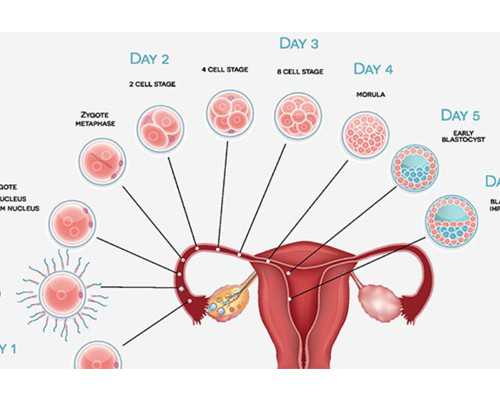 西安古玩市场哪里最好_全球多元化与中国本土价值