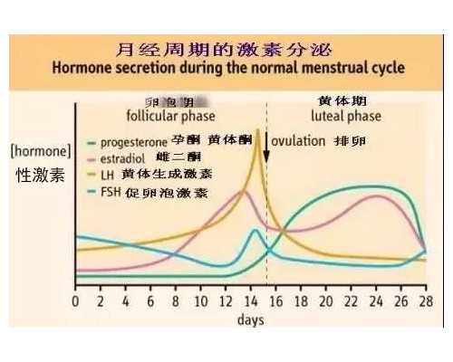 香港验血寄过来的血管_孕妇香港验血要准备什么条件_抽血查性别是真还是假