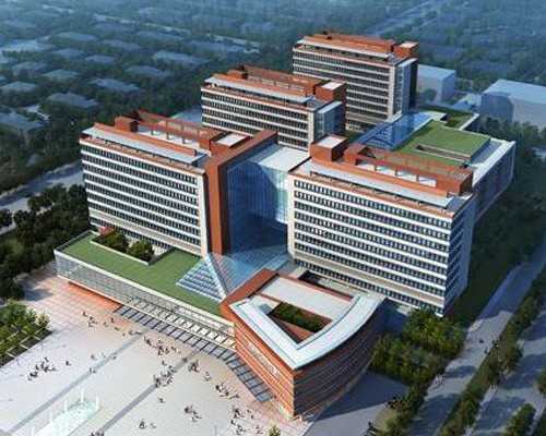 香港理想基因有限公司 验血男女 准确吗_香港验血尖沙咀妇建_千万别错过的最