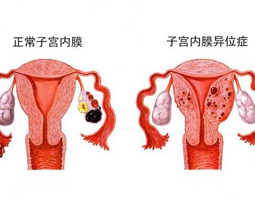 怀孕去香港验血大约多少钱_香港验血测男女要满足的条件准不准_千万别错过的