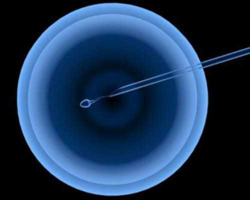 香港验血中介犯法吗_孕妇香港胎儿性别准吗?我的亲身经历告诉你