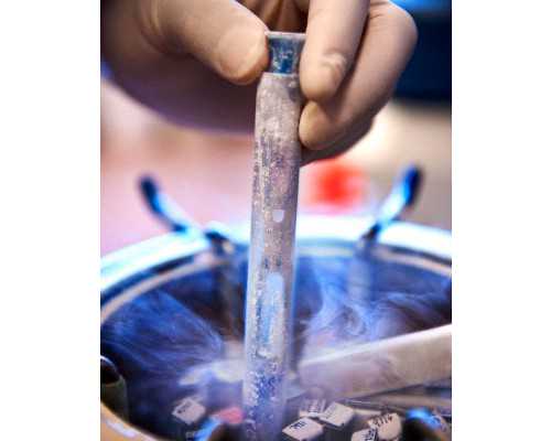 香港hklab验血多少钱_如何判断中介给验血了?亲身经历详细攻略