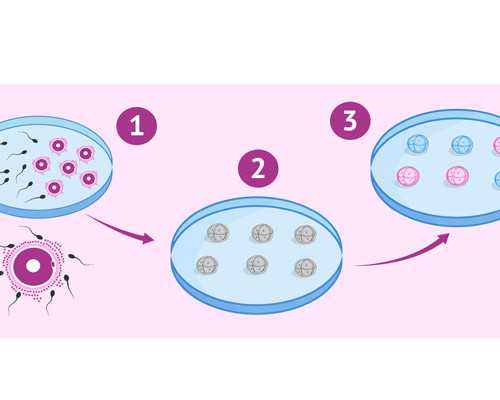 谁有香港验血男女电话_香港怀孕验血测男女多久才能验？宝妈亲身经历告诉你