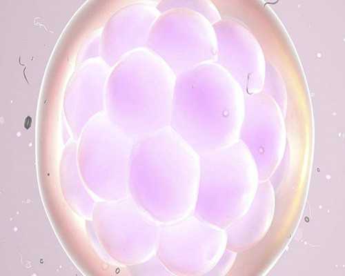 怀孕一个月验血测男女 香港_香港验血查男女有报告单吗_哪家化验所最权威你知