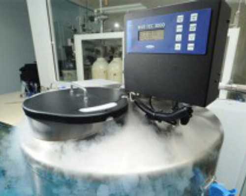 香港怀孕8周验血_第一胎是儿子香港验男女准吗_性别鉴定费用是多少!