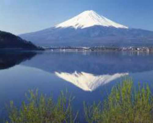 古玩诈骗案_【闽南风味小吃】香根藤卤鸭胗