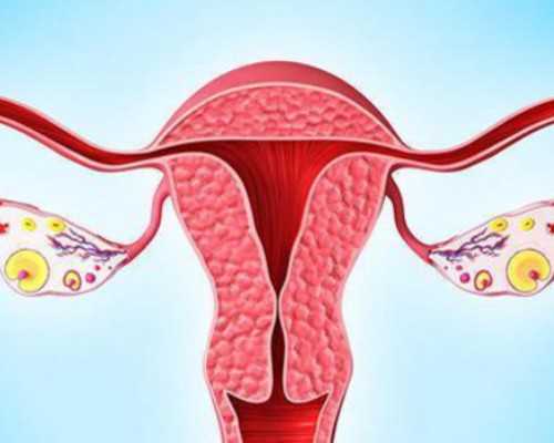 去香港验血是男孩还是女孩_寄血到香港查男女需要几天_查男女那些你所不知道