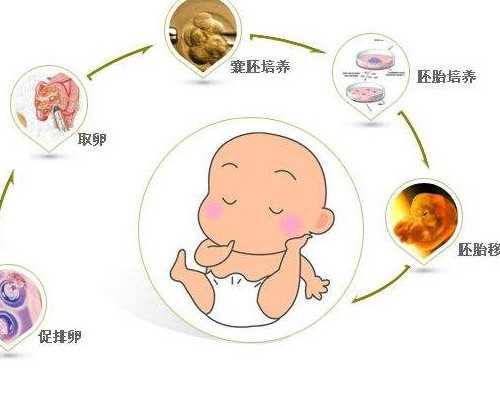 香港验血吃孕酮会影响吗_双胎香港查男女,哪家医院正规