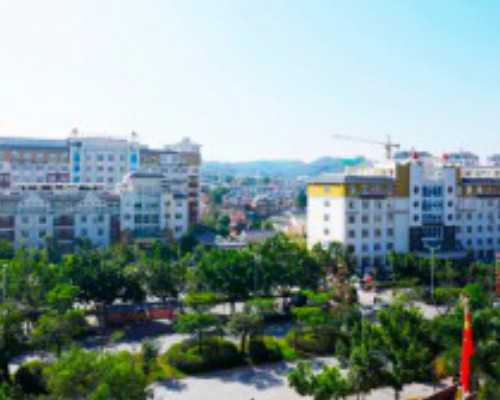 古玩电视剧高分电视剧_高价购画后却不见作品:收藏公司也人去楼空