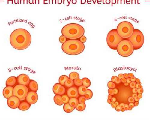 香港验血多少费用多少费用_香港验血鉴定男女到底是不是真的_验血需要具备什