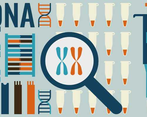 二胎香港验血攻略_香港验血有特殊情况验不出Y_让亲历者用事实来讲述真相!