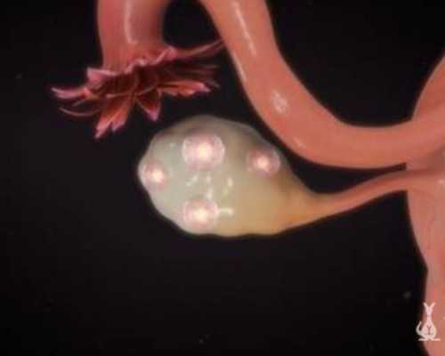 香港验血快递血坏不了吗_香港验血有错的吗_(给想去的姐妹一个参考)