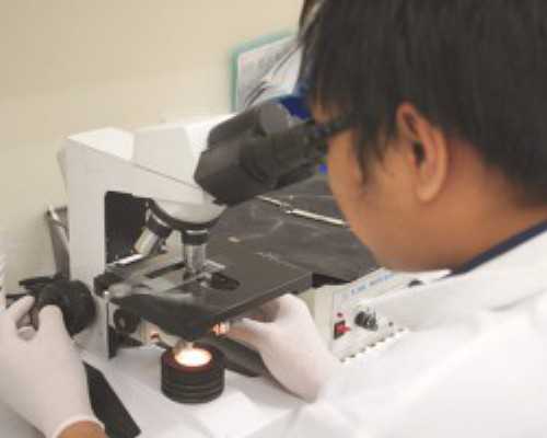 汕头市古玩市场人多吗_降火健脾桂花味阿胶糕