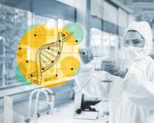 宝库网古玩交易下载_土豆减肥法食谱